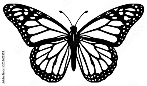 Photos Intricate monarch butterfly silhouette vector graphic for branding web and fashi