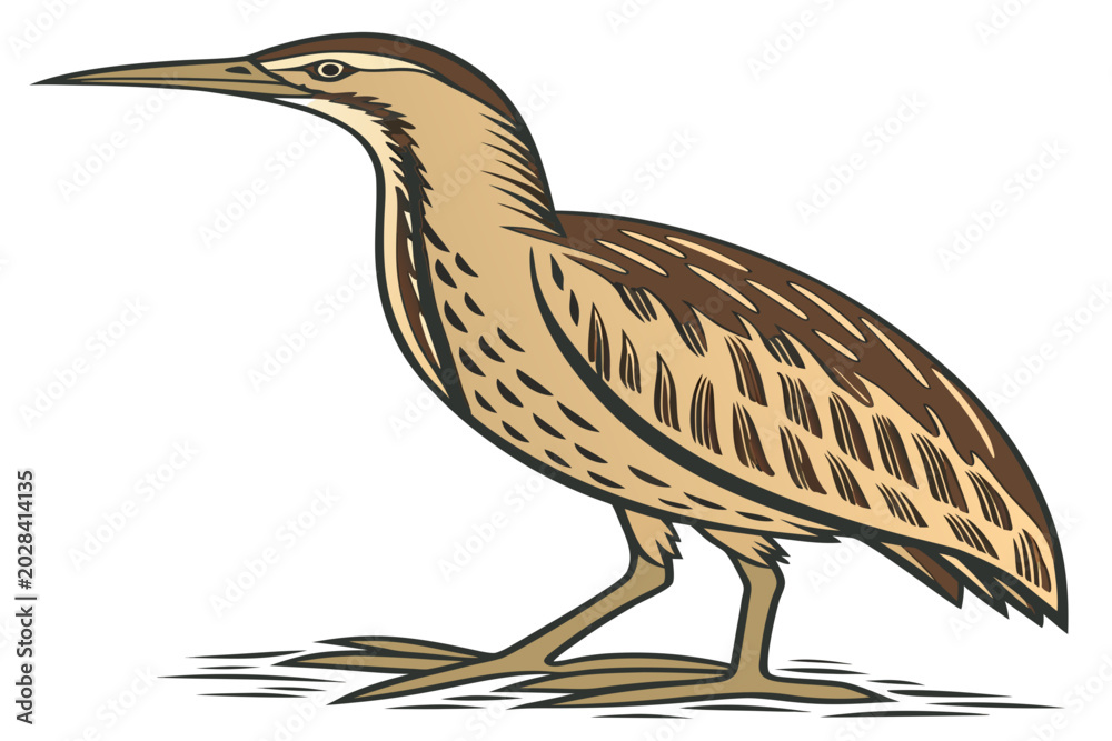 Fototapeta premium Birds Vector Design