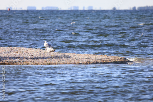 small sandbank
