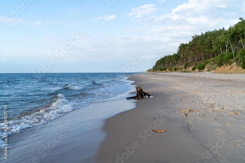 Fotografi Pristine white sandy beach in Dziwnówek, Poland, with untouched coastline, soft dunes, and calm Baltic Sea under a clear summer sky