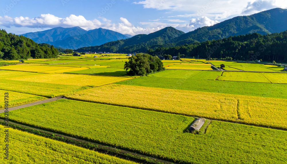 Obraz premium 日本ののどかな田園風景と美しい山並み