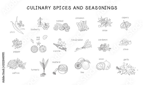 A set of retro-style culinary spices.