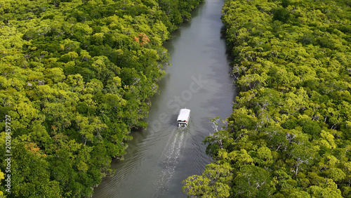 Billede på lærred Aerial View of a Tour Boat Cruising Through Dense Australian Rainforest