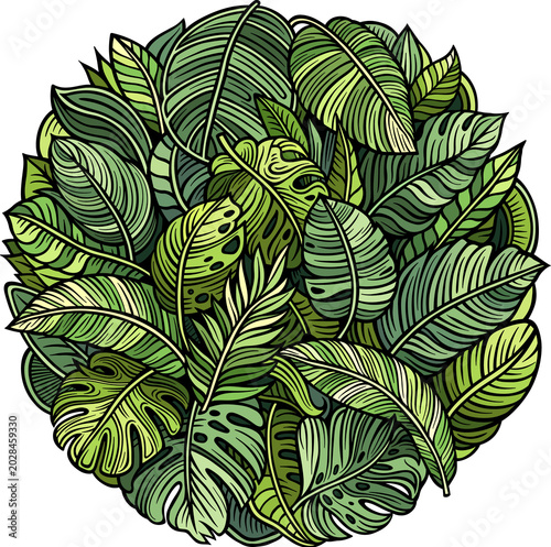 Tropical exotic leaves illustration
