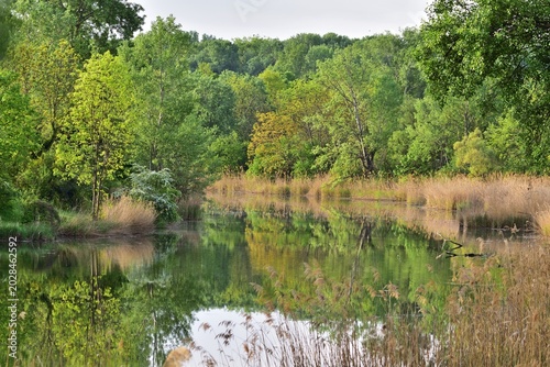 Altarm im Nationalpark Lobau - Donauauen im Frühling