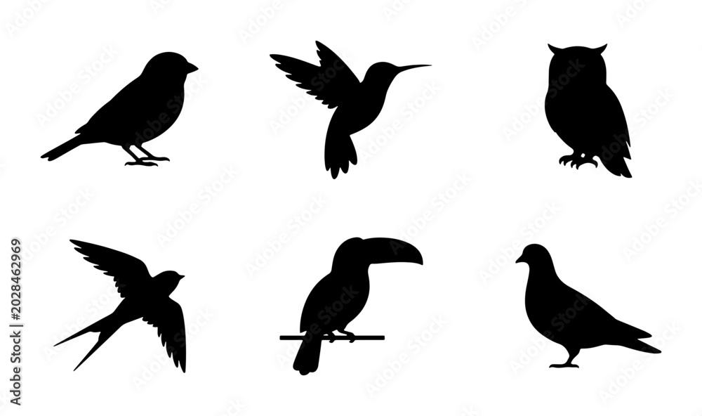 Fototapeta premium Diverse Bird Silhouettes Collection, Vector Icons Set, Wildlife Fauna Graphics, Nature Elements