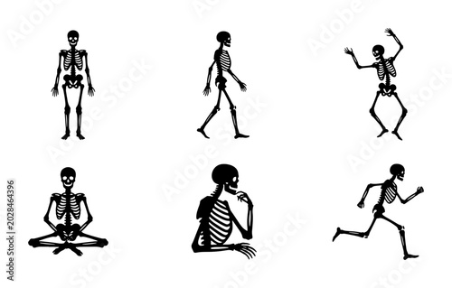 Skeleton Poses Vector Set: Anatomy, Medical, Halloween, Human Body, Silhouette, Grim Reaper