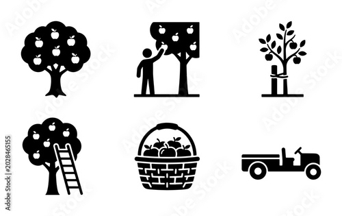 Bild auf Leinwand Apple Picking Icons: Orchard Harvest, Fruit Collection, Farm Vehicle, Vector Set