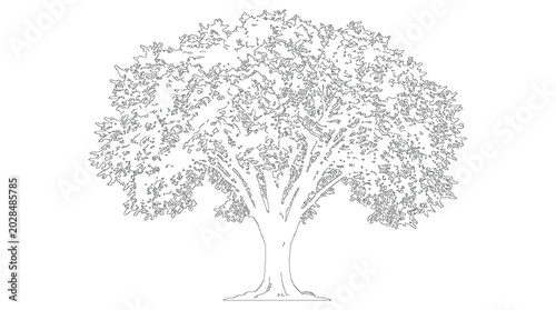 Foto Full Broadleaf Tree Architecture Drawing Lineart Sketch Vector Illustration Natu
