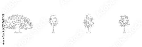 Cuadro en lienzo Park Row Broadleaf Architecture Drawing Lineart Sketch Vector Illustration Natur