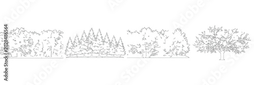 Tableau sur toile Timberland Copse Forest Design Lineart Sketch Vector Illustration Nature Plant F