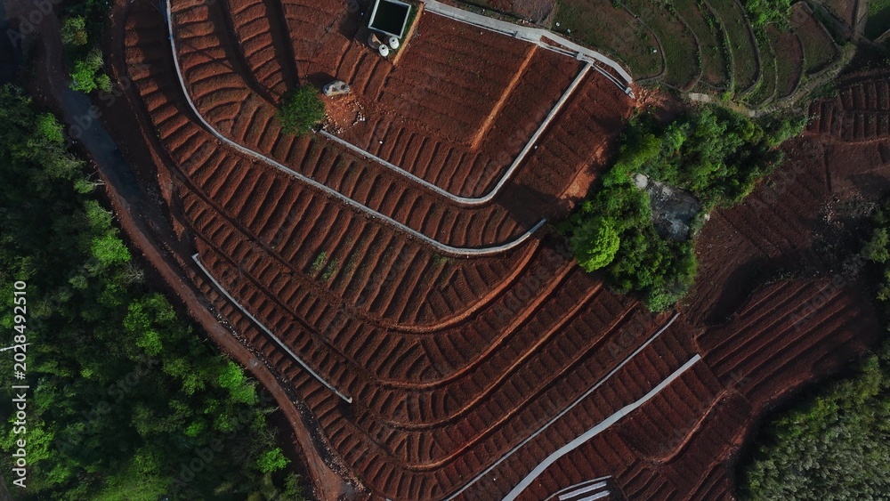 Fototapeta premium Aerial view of red soil terraced fields with winding mountain road and green vegetation