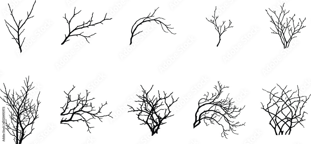 Obraz premium Bare tree branches silhouettes set black winter twigs collection hand drawn vector illustration nature elements