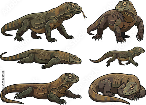 Komodo dragon monitor lizard vector illustration set, wild exotic reptiles collection isolated on a white background