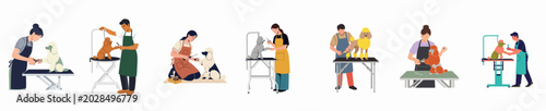 Fotografía Collection of professional dog groomers styling and trimming various poodles on