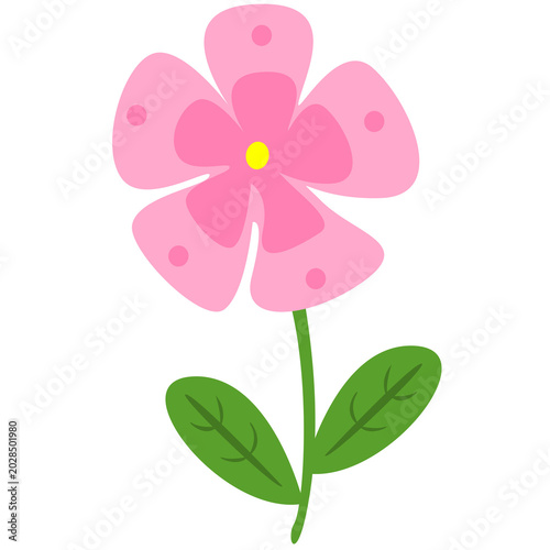 pink flower isolated on white background