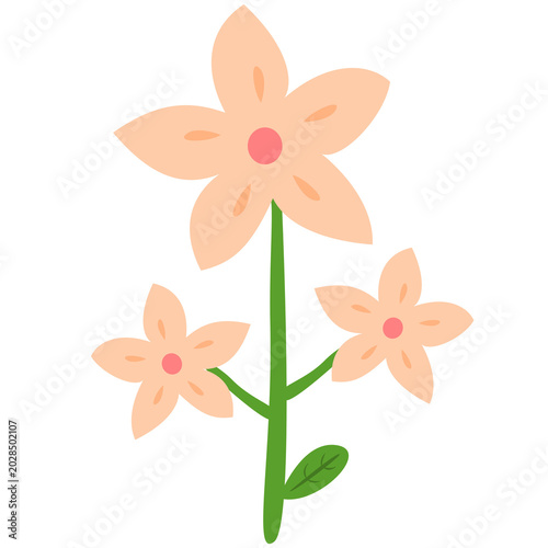 illustration of a flower