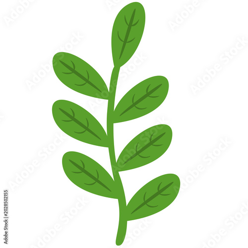 green leaves isolated on white