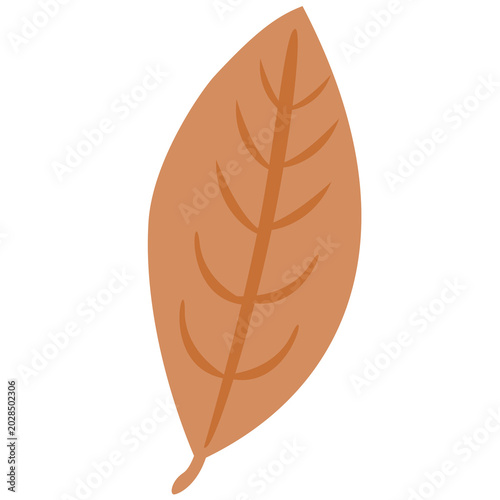 brown leaf of a tree