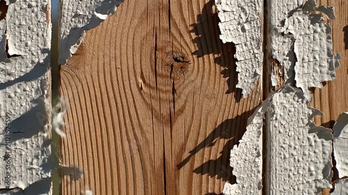 Peeling White Paint Flaking and Cracking on Weathered Wooden Fence Closeup