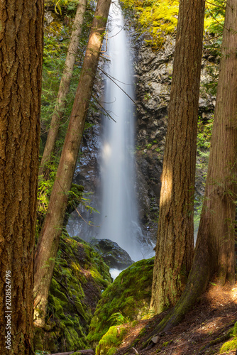 Valokuva Waterfall in the forest