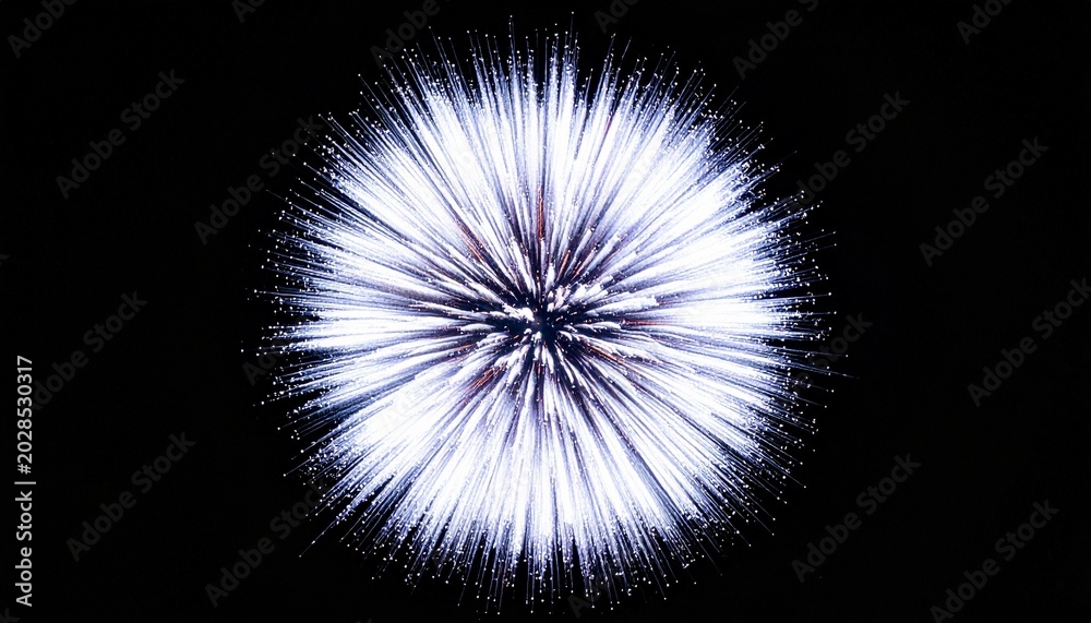Fototapeta premium fireworks in the night sky