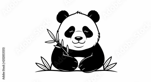 Valokuva Cute black and white panda.