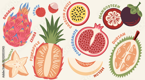 Canvastavla Illustration set of colorful exotic tropical fruits with text labels