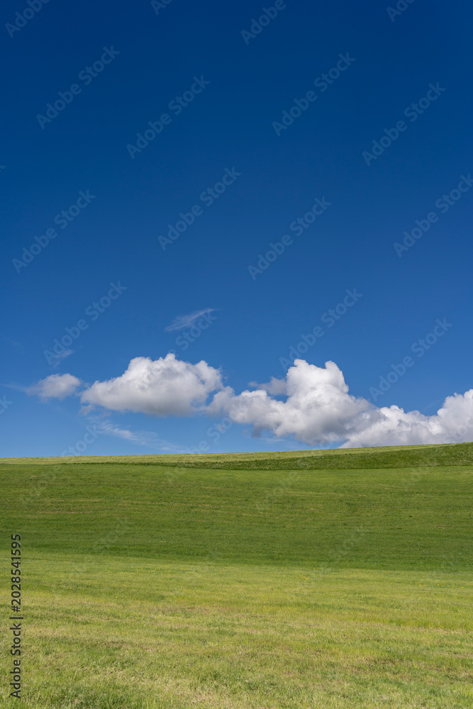 Fototapeta premium Minimalist landscape view of a vibrant green grass ridge under a vast, bright blue sky with fluffy white cumulus clouds in Langen bei Bregenz, Vorarlberg, Austria.