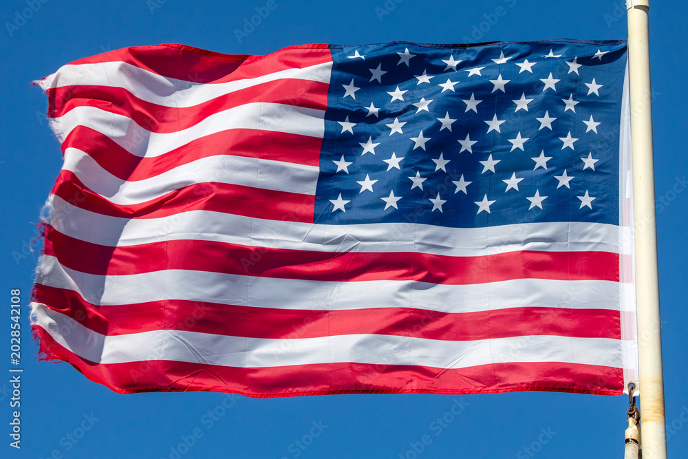 Fototapeta premium United States of America Flag