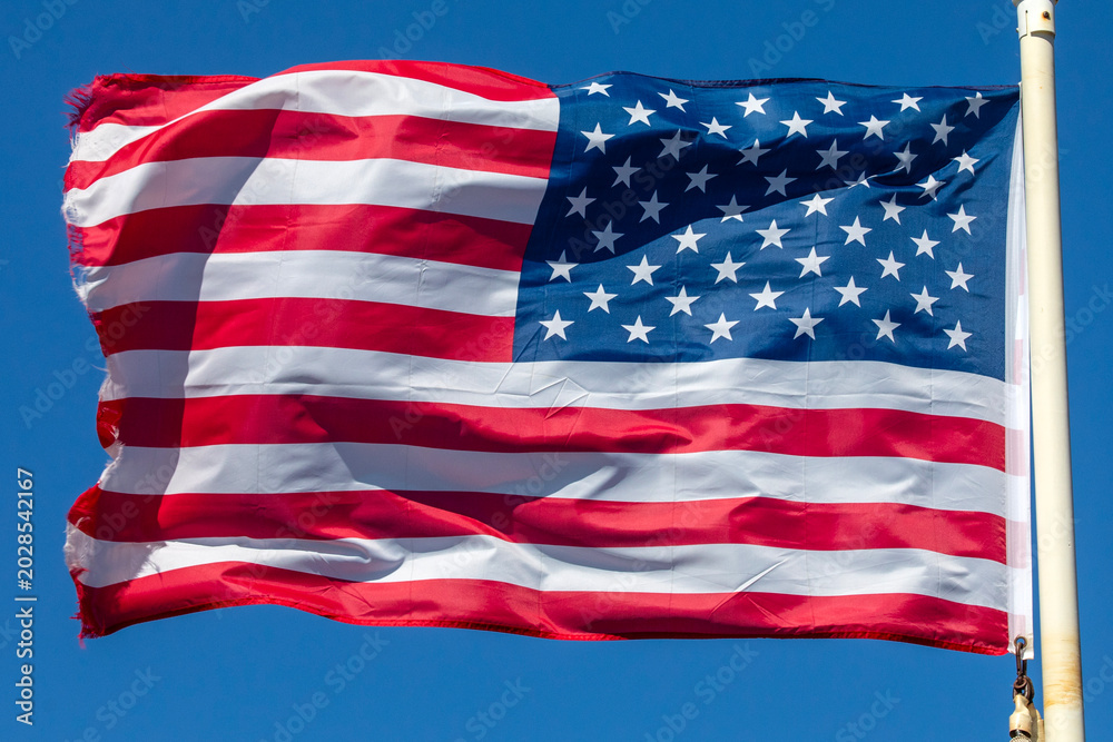 Fototapeta premium United States of America Flag