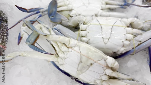 Close up blue swimming crab on ice bed and basket at fresh market, seafood selection for cooking, grocery shopping, and wet market concept.