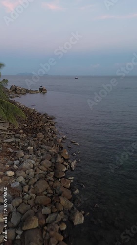 Beautiful rocky shore with palm trees along the ocean coastline