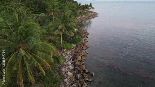 Scenic tropical rocky coastline with lush palm trees by the sea