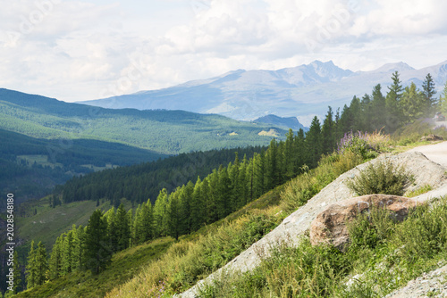 Beautiful Altai mountains in Ulagan road to Chulishman valley, Altai Republic, Siberia, Russia