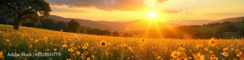 Golden hour sunlight bathes a vibrant landscape in warm, summery hues Perfect for travel, vacation, or summer-themed projects Enjoy the idyllic scene , green, energy