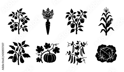 Quadro su tela Garden Harvest Vector Icons: Tomato, Carrot, Pepper, Corn, Eggplant, Pumpkin, Pe