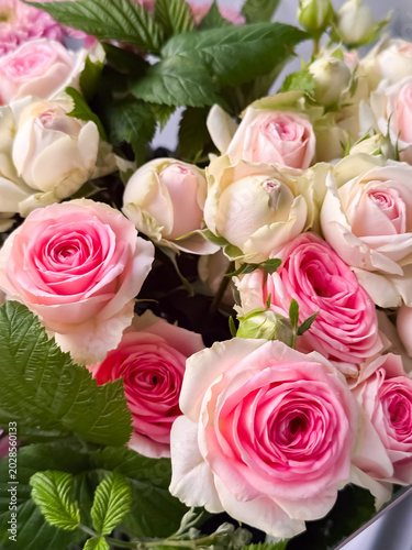 Close up arrangement of pink and white roses with green foliage