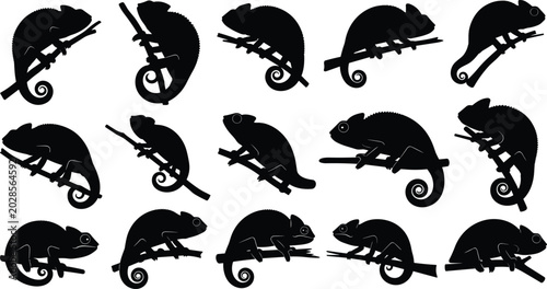 Bilde på lerret Large set of chameleon silhouette icons featuring various lizard poses on branch
