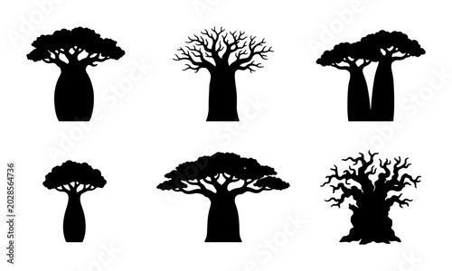 Schilderij op canvas Baobab Tree Silhouettes Collection, African Adansonia Digitata Vector Icons, Org