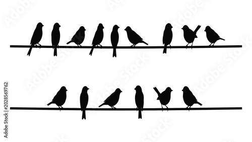 Foto Birds sitting on power lines represent a peaceful wildlife scene captured in a black silhouette