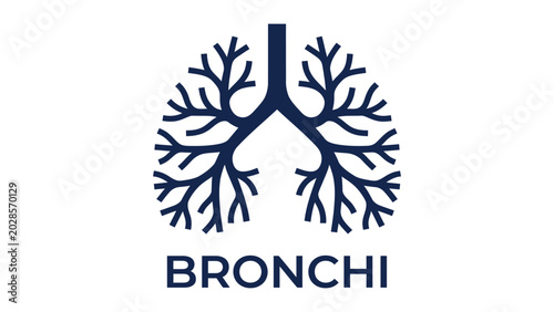 Obraz na płótnie Bronchi diagram illustrates the complex structure of human respiratory system health awareness