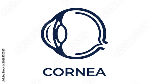 Fotografie Cornea icon depicts the human eye anatomy in a clean minimalist line drawing style for medicine