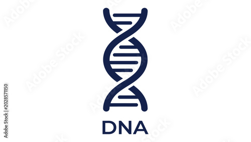 Schilderij op canvas DNA helix structure serves as a fundamental biological icon for genetic research and development