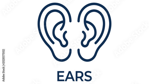 Tableau sur toile Ears depicted as a clinical icon help explain human hearing and anatomy for medical education