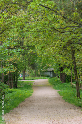 path in the park