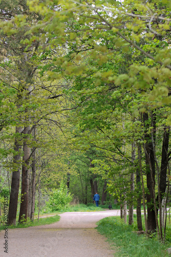 walk in the park