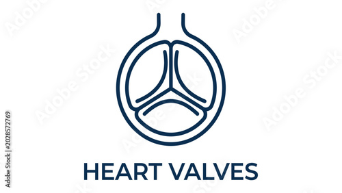 Bild auf Leinwand Heart valve icon represents cardiovascular anatomy in a simple vector illustration style