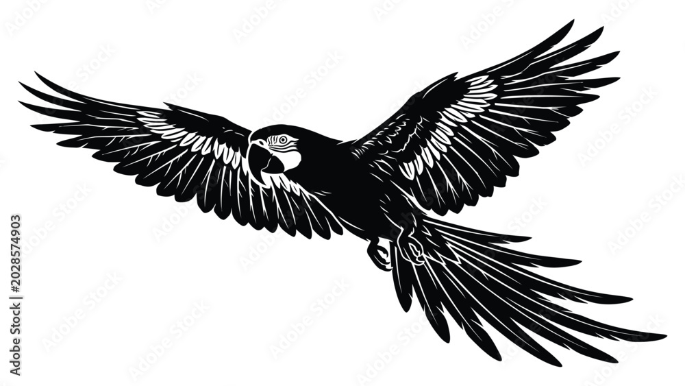 Obraz premium Macaw flies with wings fully extended in this detailed black and white artistic silhouette.