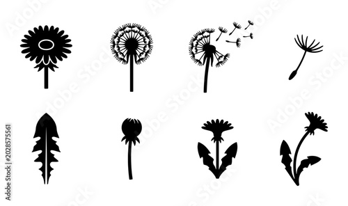 Dandelion Icons Set: Blooming Flower, Seed Head, Flying Seeds, Leaf, Bud, Vector Graphics for Nature, Spring, and Wish Themes